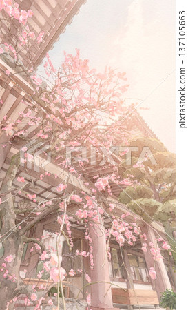 春意盎然，紅梅花盛開 137105663