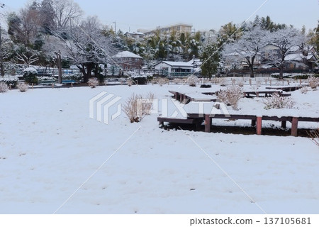 住宅區內白雪皚皚的公園景色 住宅區內白雪皚皚的公園景色 137105681