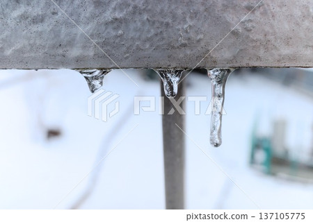 Close-up of icicles hanging from the eaves Close-up of icicles hanging from the eaves 137105775