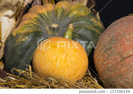 Autumnal decoration made of vegetables and plants. Agriculture on autumn Autumnal decoration made of vegetables and plants. Agriculture on autumn 137106249