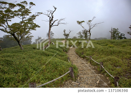 The early summer hiking trails of Odaigahara, shrouded in mist The early summer hiking trails of Odaigahara, shrouded in mist 137106398
