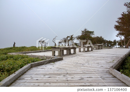 小台原展望台與霧氣繚繞的山景 小台原展望台與霧氣繚繞的山景 137106400