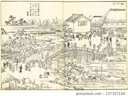 江戶名勝圖鑑：片平川 137107189
