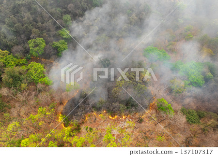 Wildfires release carbon dioxide (CO2) emissions and other greenhouse gases (GHG) that contribute to climate change. Wildfires release carbon dioxide (CO2) emissions and other greenhouse gases (GHG) that contribute to climate change. 137107317