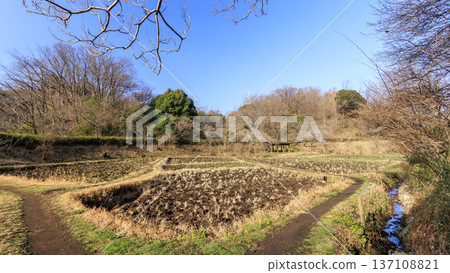 橫濱市戶塚區舞岡故鄉公園的冬季 橫濱市戶塚區舞岡故鄉公園的冬季 137108821