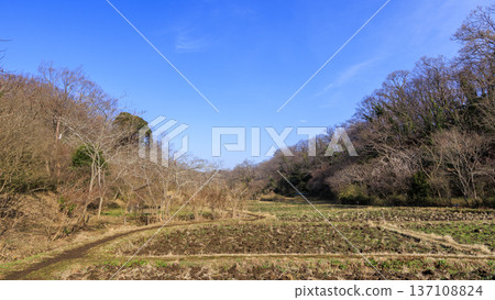 Winter at Maioka Furusato Park in Totsuka Ward, Yokohama City 137108824