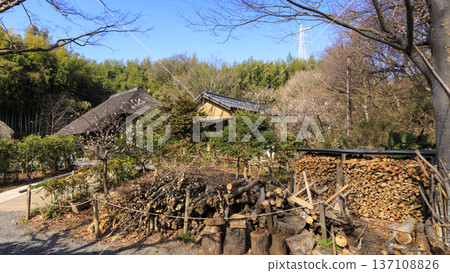 橫濱市戶塚區舞岡故鄉公園的冬季 橫濱市戶塚區舞岡故鄉公園的冬季 137108826