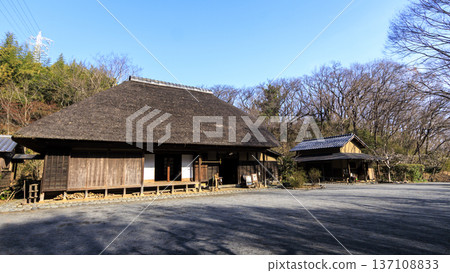橫濱市戶塚區舞岡故鄉公園的冬季 橫濱市戶塚區舞岡故鄉公園的冬季 137108833