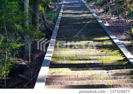 Climb the stone steps Climb the stone steps 137108977