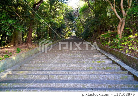 Climb the stone steps Climb the stone steps 137108979
