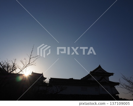 清晨的岸和田城 清晨的岸和田城 137109005