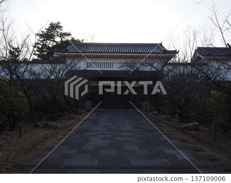 清晨的岸和田城 清晨的岸和田城 137109006