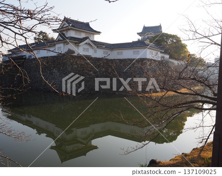 Kishiwada Castle in the morning Kishiwada Castle in the morning 137109025