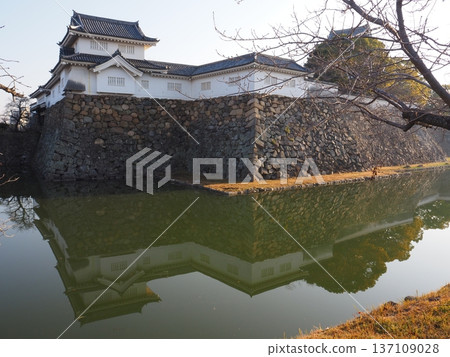清晨的岸和田城 清晨的岸和田城 137109028