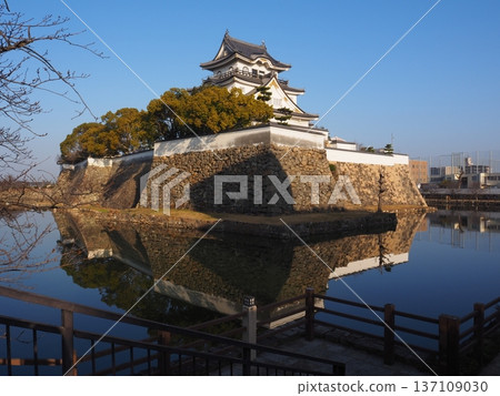 Kishiwada Castle in the morning Kishiwada Castle in the morning 137109030