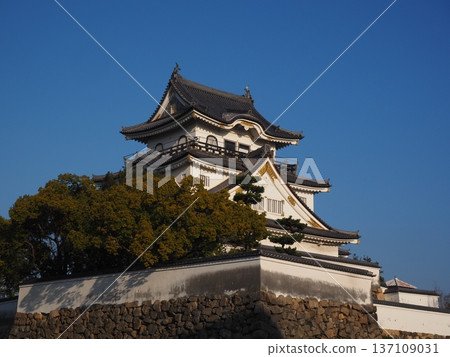 清晨的岸和田城 清晨的岸和田城 137109031