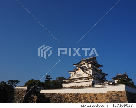 清晨的岸和田城 清晨的岸和田城 137109038