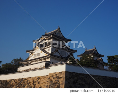 Kishiwada Castle in the morning Kishiwada Castle in the morning 137109040