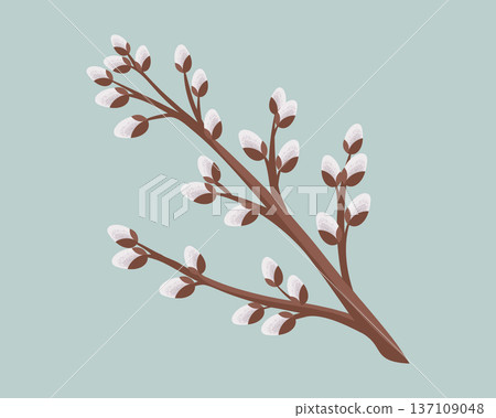 Willow twig isolated on green background. Festive spring illustration. 137109048