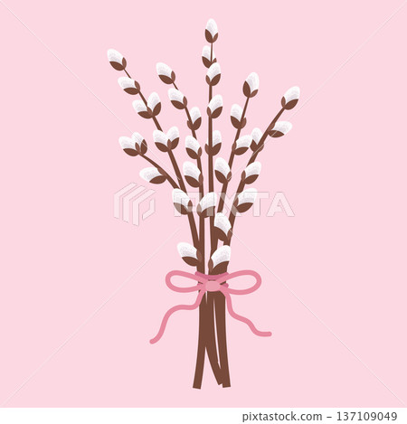 Willow twigs bouquet isolated on pink background. Festive spring illustration. 137109049