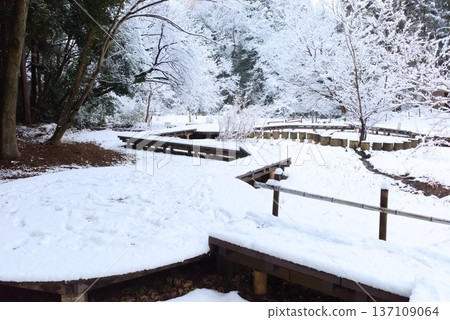 公園景色優美,白雪皚皚的池塘和木質平台盡收眼底。 公園景色優美,白雪皚皚的池塘和木質平台盡收眼底。 137109064