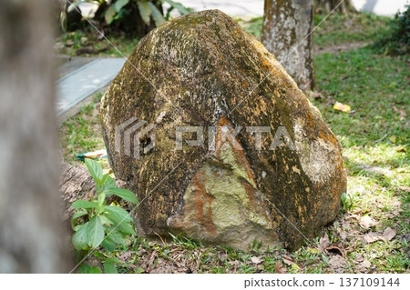 Ancient Moss-Covered Rock in Lush Green Park Landscape Ancient Moss-Covered Rock in Lush Green Park Landscape 137109144