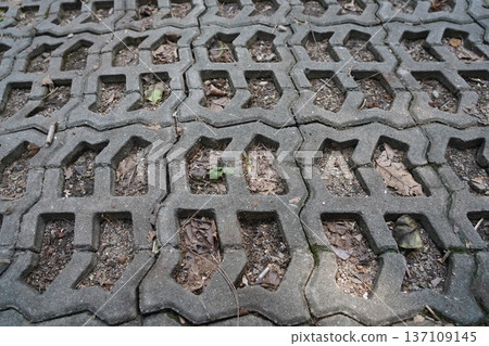 Permeable Concrete Pavers with Green Sprout and Leaves Permeable Concrete Pavers with Green Sprout and Leaves 137109145