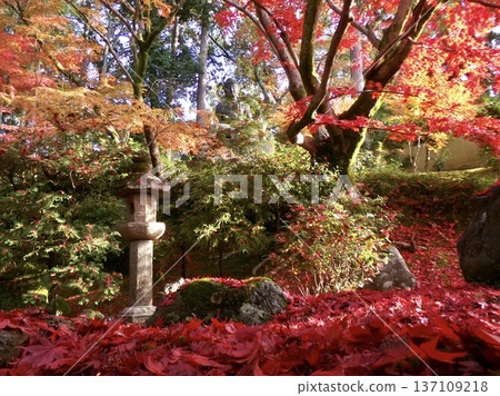 花園裡點綴著秋葉、石燈籠和佛像 137109218