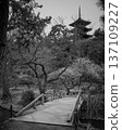 三溪園 - 梅樹林與木橋 - 早春黑白風景，遠眺橫濱三重塔 137109227