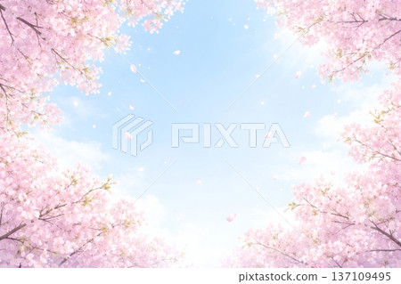 櫻桃背景 137109495