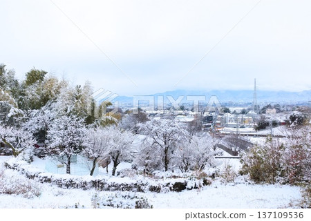 Snow-covered Yatoyama Park and Mt. Daisen seen from the legendary hill Snow-covered Yatoyama Park and Mt. Daisen seen from the legendary hill 137109536