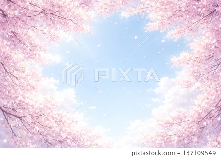 櫻桃背景 137109549