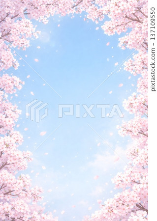 櫻桃背景 137109550