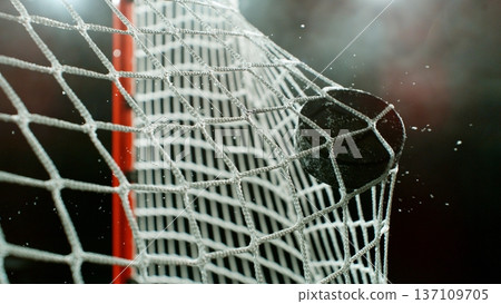 An ice hockey puck hitting the back of the net as it scores a goal 137109705