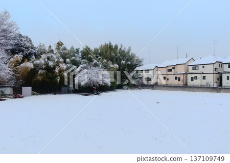 Snow-covered winter landscape of fields and residential areas Snow-covered winter landscape of fields and residential areas 137109749