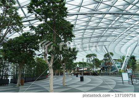 Indoor Garden at Jewel Changi Airport Singapore 137109758
