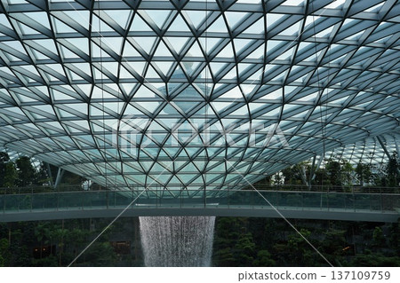 Jewel Changi Airport Waterfall and Canopy Structure Jewel Changi Airport Waterfall and Canopy Structure 137109759