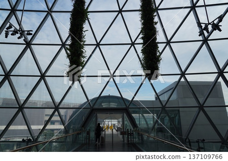 Airport Interior with Geometric Glass Structure and Plants Airport Interior with Geometric Glass Structure and Plants 137109766