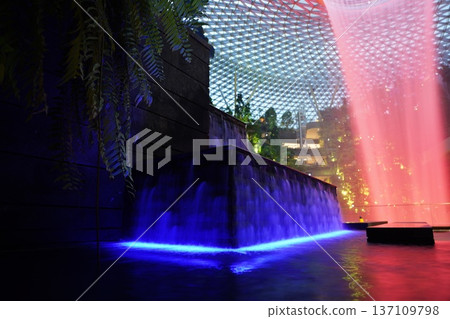 Indoor Waterfall Garden with Ferns and Modern Architecture Indoor Waterfall Garden with Ferns and Modern Architecture 137109798