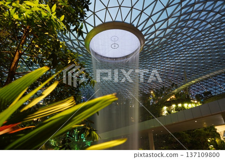 Jewel Changi Airport Waterfall and Lush Indoor Garden Jewel Changi Airport Waterfall and Lush Indoor Garden 137109800