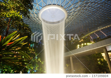 Jewel Changi Airport Waterfall Singapore Indoor Landscape Jewel Changi Airport Waterfall Singapore Indoor Landscape 137109804