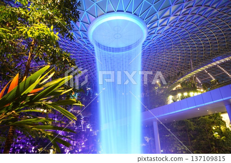 Majestic Rain Vortex Tropical Garden at Jewel Changi Majestic Rain Vortex Tropical Garden at Jewel Changi 137109815