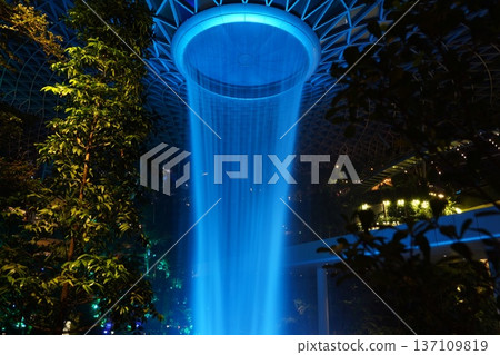 Jewel Changi Airport Rain Vortex at Night with Lush Plants Jewel Changi Airport Rain Vortex at Night with Lush Plants 137109819