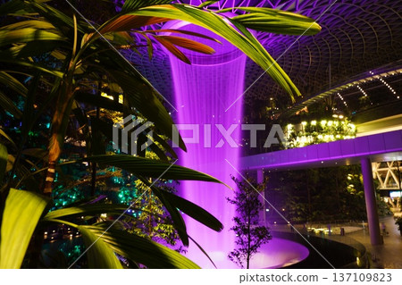 Jewel Changi Airport Waterfall and Palm Trees Jewel Changi Airport Waterfall and Palm Trees 137109823