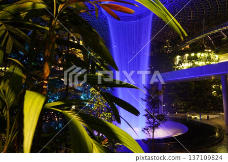 Stunning Jewel Changi Vortex Blue Lights Lush Foliage Stunning Jewel Changi Vortex Blue Lights Lush Foliage 137109824