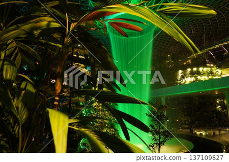 Vibrant Green Waterfall in a Lush Indoor Tropical Garden 137109827