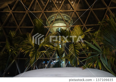 Futuristic Dome Structure with Palm Trees at Night Futuristic Dome Structure with Palm Trees at Night 137109835