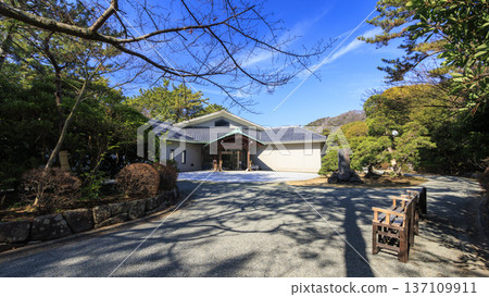 Early spring at Hayama Shiosai Park 137109911