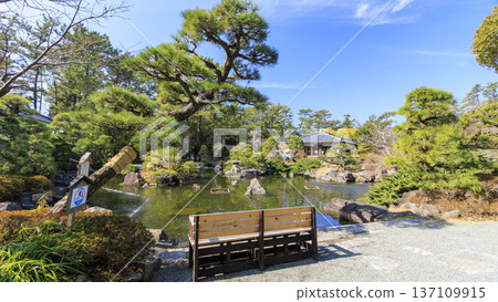 Early spring at Hayama Shiosai Park Early spring at Hayama Shiosai Park 137109915