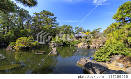 Early spring at Hayama Shiosai Park 137109916